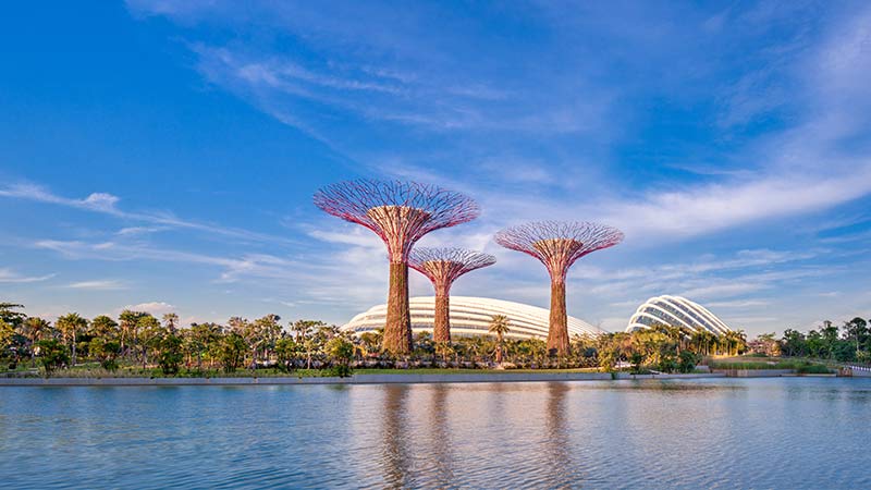 singaporediscover