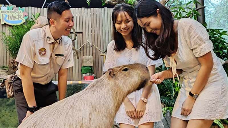 sg-wrs-800x450 Wildlife Reserves Singapore